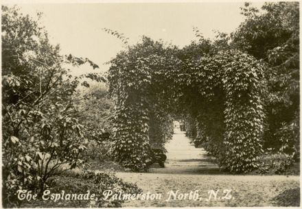 Palmerston North Souvenir Photo Cards - "The Esplanade"