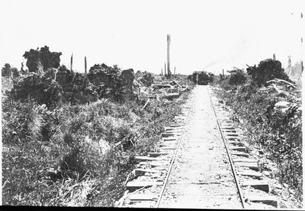 Tramline from Makerua Swamp to Miranui Flaxmill, near Shannon