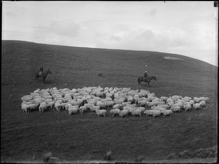 Herd of Sheep and Men on Horseback