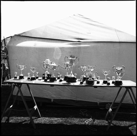 Carnival of The Lake - 31