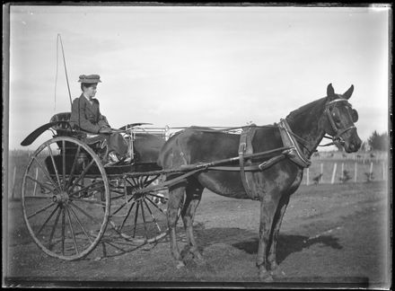 Woman Sitting in Carriage