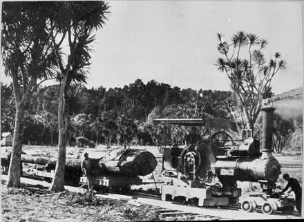 Steam engine hauling logs from cleared bush