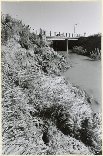 Tremaine Avenue Bridge over the Managaone Stream