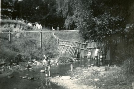 Summer at Bledisloe Park