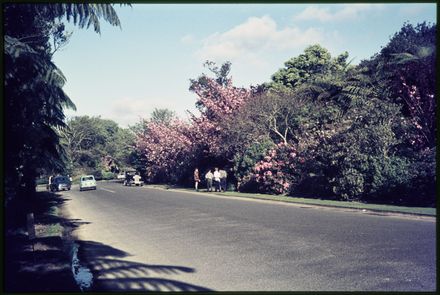 The Esplanade