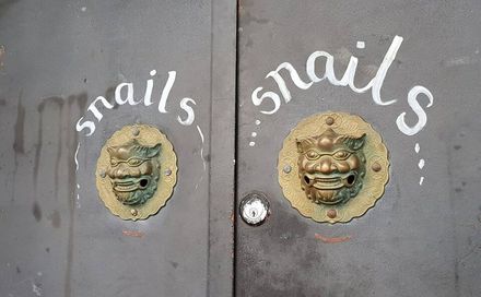 The doors at Snails Artist Run Space.  103 Taonui Street. - Resource cover image