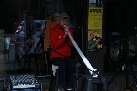 Busk Palmy 2018