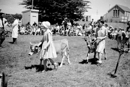 Calf Club Day at Carnarvon School