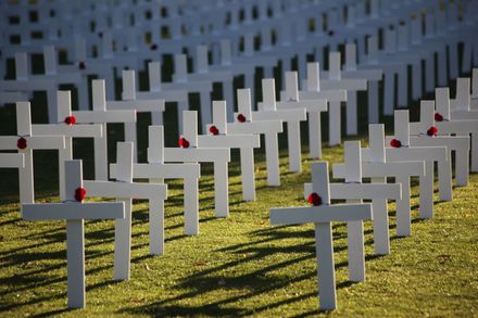 ANZAC Day 2015 - Memorial Crosses