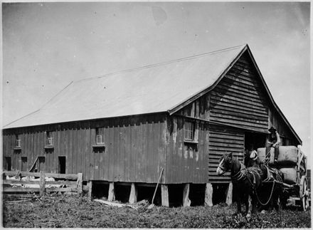 Wagon-load of Wool, Matsubara, Bunnythorpe