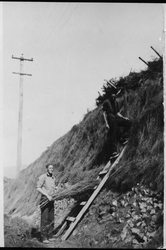 Working on a Road Cutting at Paraparaumu