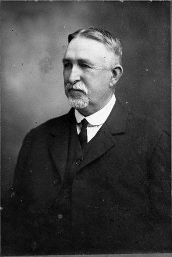 Samuel Watkins Luxford, Borough Councillor