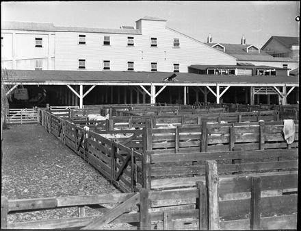 Stock pens, Longburn Freezing Works