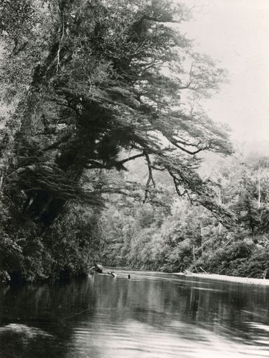 Otaki River