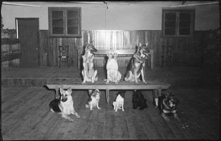 "Obedience Training of Dogs" - Resource cover image