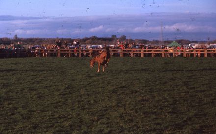 Linton Rodeo