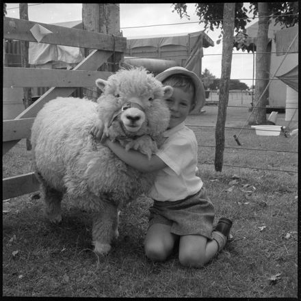 "No Prizes--But Still Loved" Lamb Being Hugged by Owner