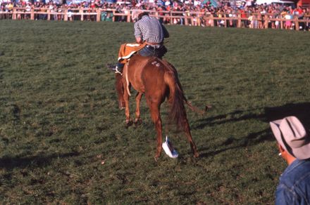 Linton Rodeo