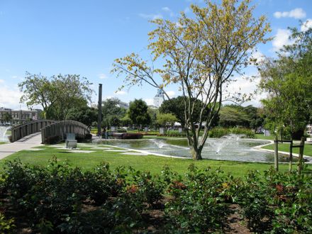 The Square gardens