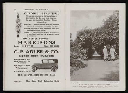 Bradbury's Illustrated Series No. XI. Manawatu and Rangitikei Districts 81