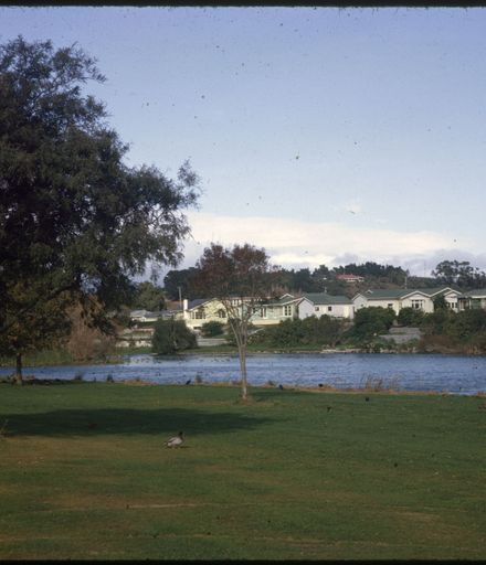Hokowhitu Lagoon, Centennial Drive
