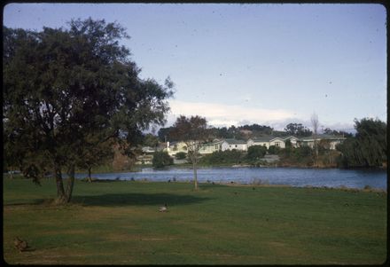 Hokowhitu Lagoon, Centennial Drive