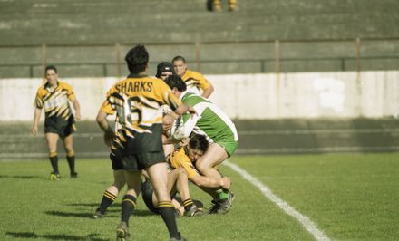 “Attacks pays off for rampant Mustangs” - Resource cover image