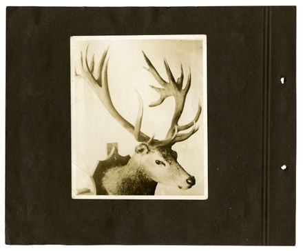 Barrow Family Photograph Album Page 62