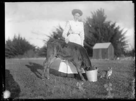 Woman with Calf and Cat
