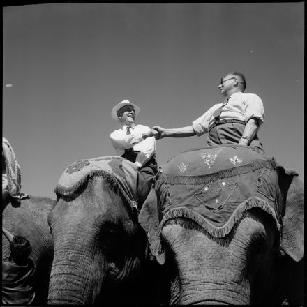 "Mahout Extraordinary" [Elephant ride]