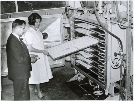 Examination of milk biscuits, New Zealand Dairy Research Institute