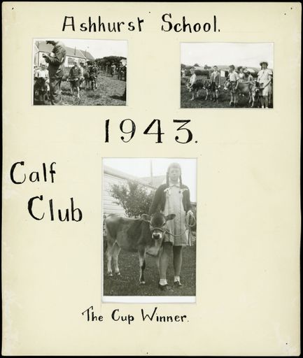 Ashhurst School, Calf Club