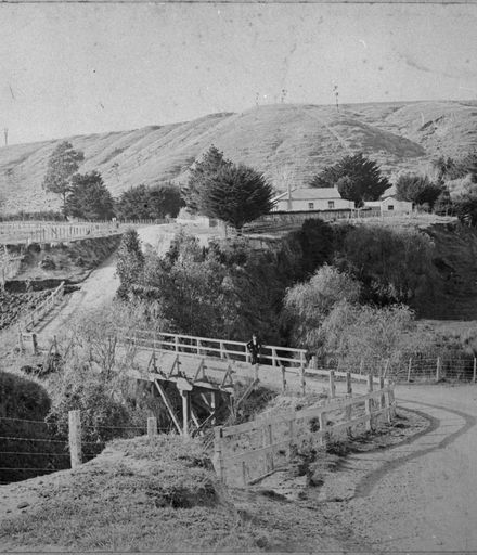 Bryant's Bridge at Aokautere