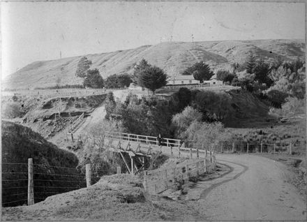 Bryant's Bridge at Aokautere