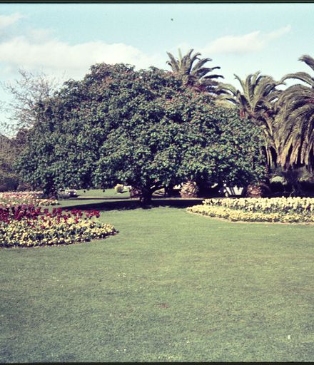 The Esplanade Gardens