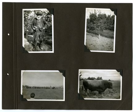 Barrow Family Photograph Album Page 41