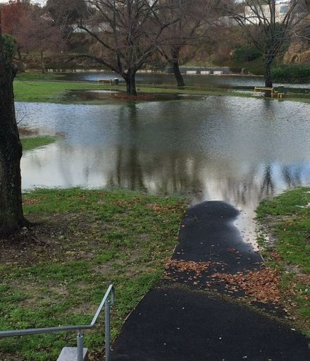 Memorial Park, 2015 Floods