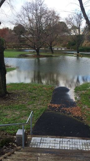 Memorial Park, 2015 Floods