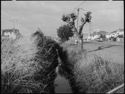 Pioneer Highway, Looking North
