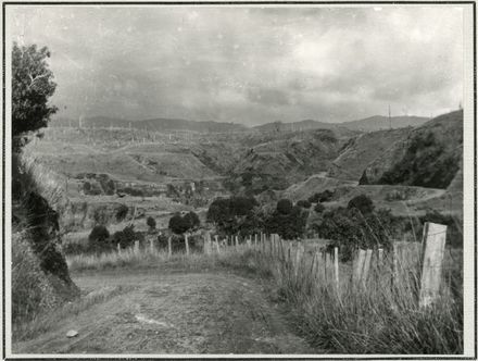Pohangina Valley Scene