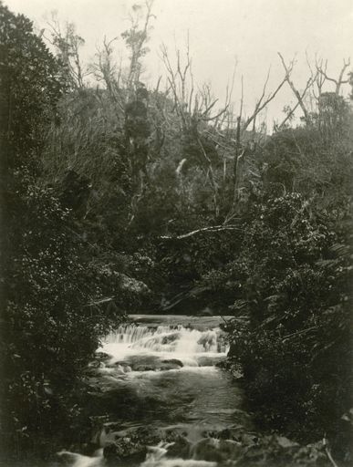 Waterfall - Mangahao Electric Power Scheme