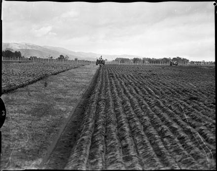 "Silver Ploughing Championship"