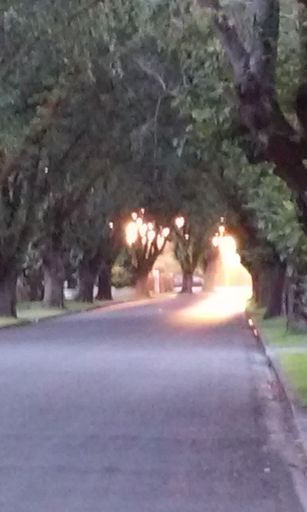 "Elmira Avenue at Dusk on the Summer Equinox"