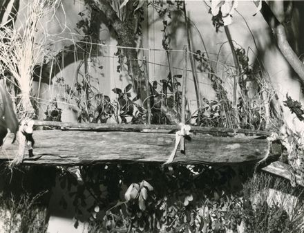Māori trough, Manawatu Museum, Church Street