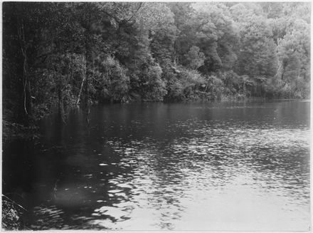 Reservoir at Turitea