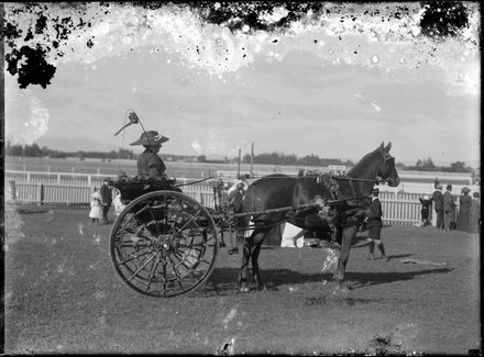 Woman with Horse and Carriage