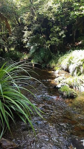 Otangane Stream