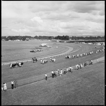 2018N_2017-20_MS000898a - [Feilding Show}