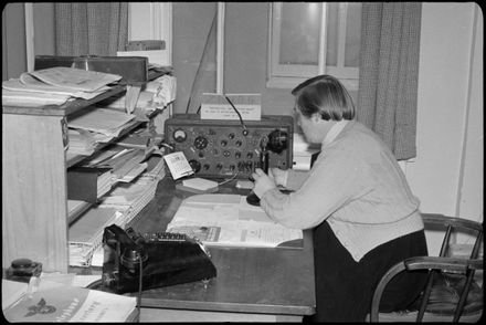 The Transport Department