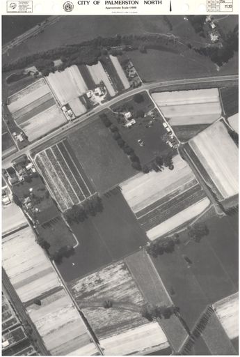 Aerial Map, 1986 - 11-10